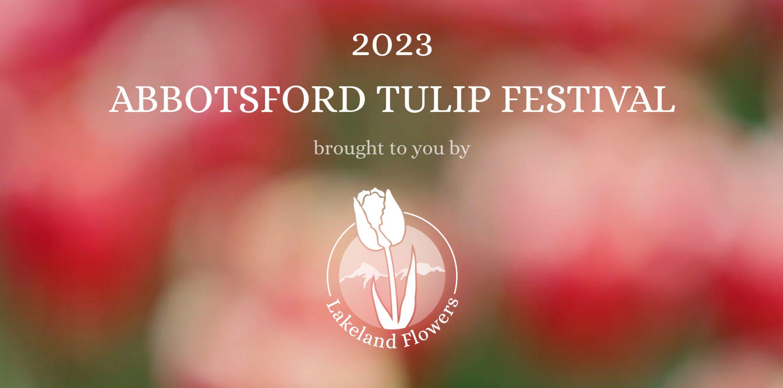 abbotsford tulip festival